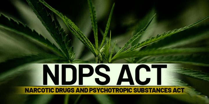 NDPS Uncovered: Rights, Regulations & Legal Remedies